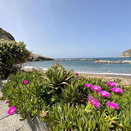 Apartament Casa Francesco Seaside Sant'Angelo  Zewnętrze zdjęcie