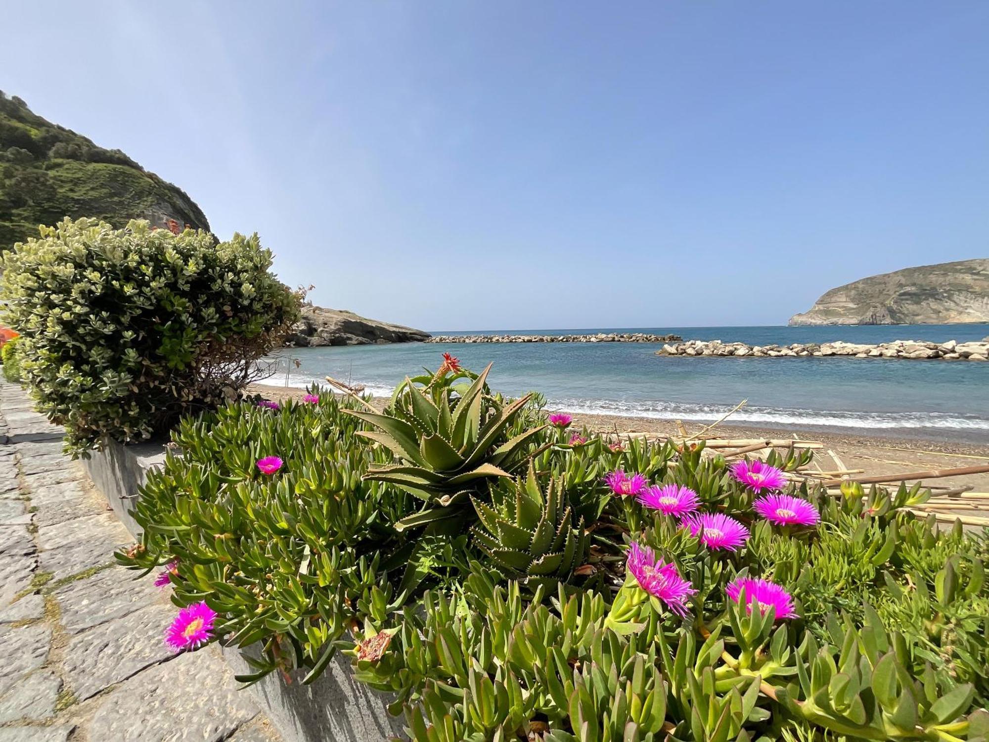 Apartament Casa Francesco Seaside Sant'Angelo  Zewnętrze zdjęcie