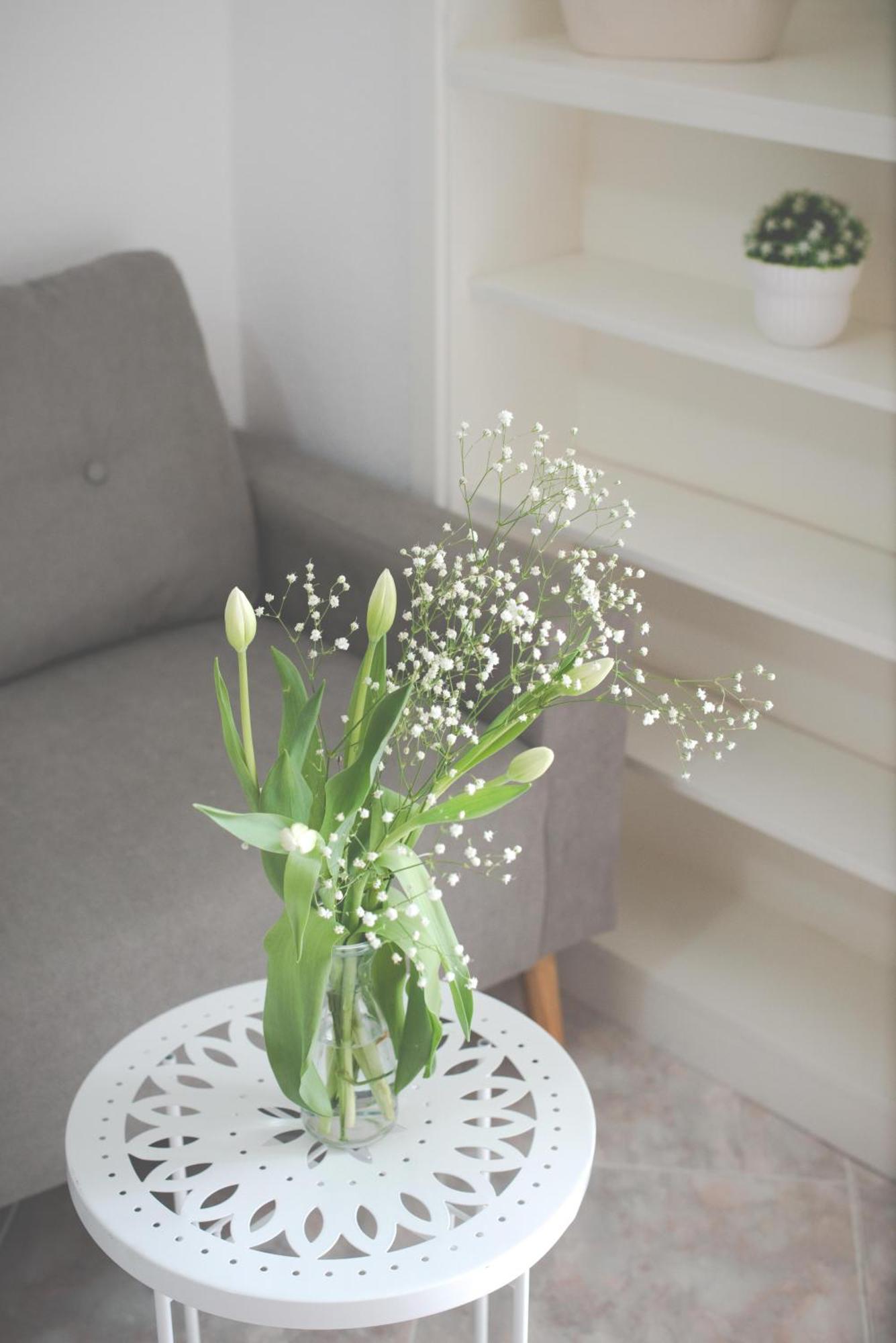 Apartament Casa Francesco Seaside Sant'Angelo  Zewnętrze zdjęcie